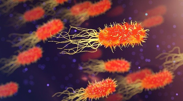 Meningitis: Causes and Treatment