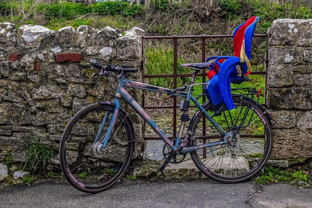 BEST BABY BIKE SEATS IN 2021