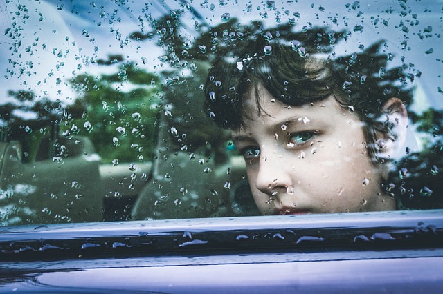 THE BEST CAR SUNSHADES FOR KIDS