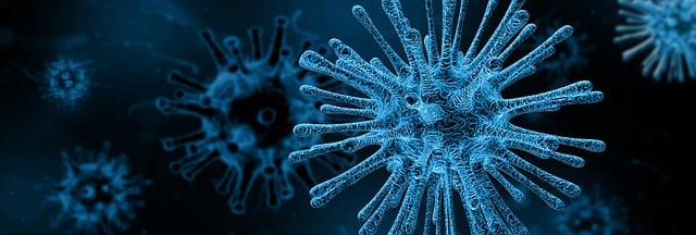 DEADLIEST DISEASES IN THE WORLD